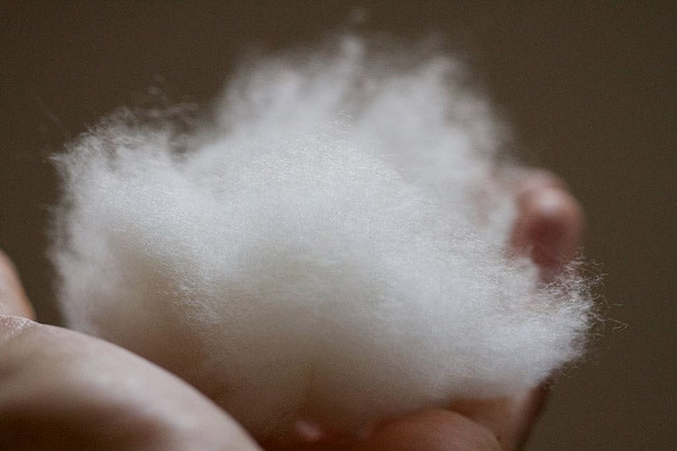 Comment laver du cachemire