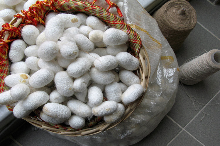 Sac de cocons de soie Harry Wesson