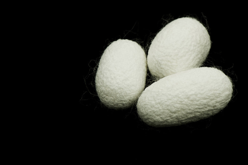 Cocon de soie Harry Wesson