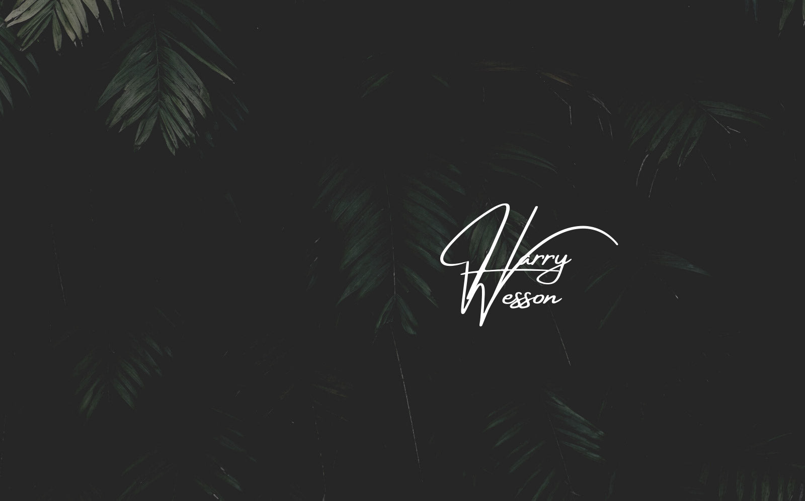 Univers et concept Harry Wesson